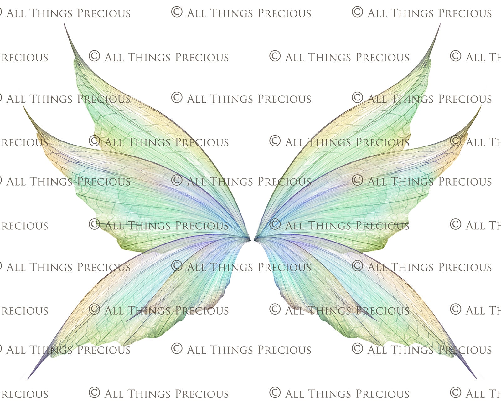 Digital Faery Wing Overlays. Png overlays for photoshop. Photography editing. High resolution, 300dpi fairy wings. Overlays for photography. Digital stock and resources. Graphic design. Fairy Photos. Colourful Fairy wings. Faerie Wings. ATP Textures. Overlays. Actions, Textures, Photo Resources, Photoshop. 