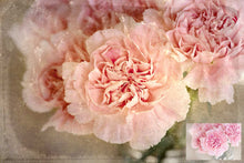 Load image into Gallery viewer, 10 Fine Art TEXTURES - VINTAGE Set 12
