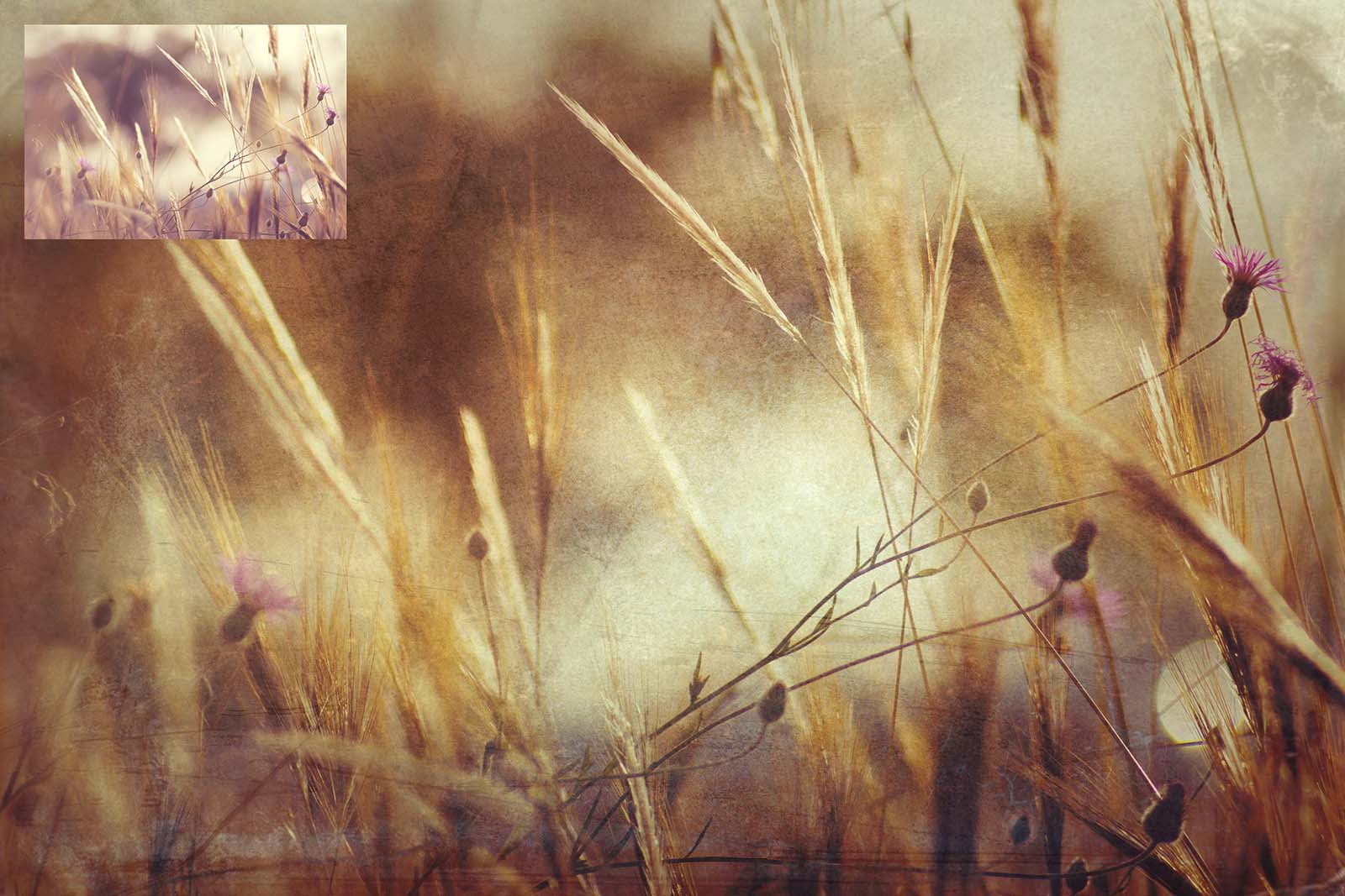 Vintage aged textures. Sweet Textures. Fine art texture for photographers, digital editing. Photo Overlays. Antique, Old World, Grunge, Light, Bundle. Textured printable Canvas, Colour, black and white, Bundle. High resolution, 300dpi Graphic Assets for photography, digital scrapbooking and design. By ATP Textures