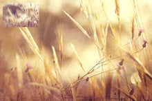 Load image into Gallery viewer, 10 Fine Art TEXTURES - SUMMER Set 7
