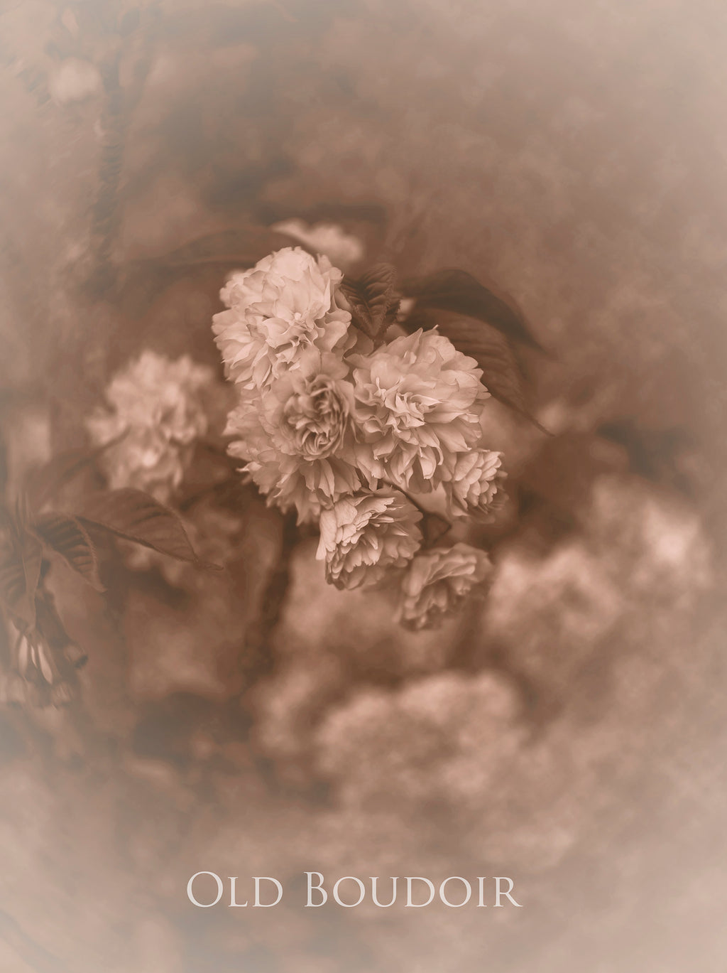 ATP Textures