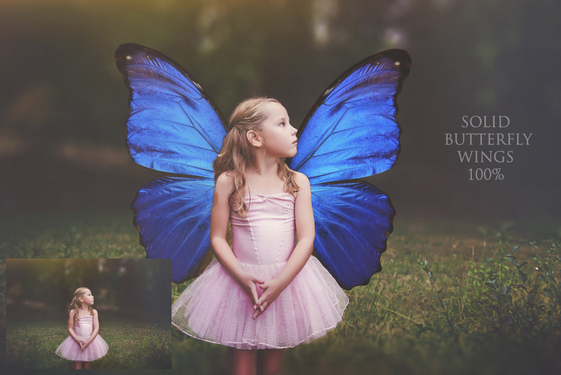 Butterfly fairy wings, Png overlays for photoshop. Photography editing. High resolution, 300dpi fairy wings. Overlays for photography. Digital stock and resources. Graphic design. Fairy Photos. Colourful Fairy wings. Faerie Wings.
