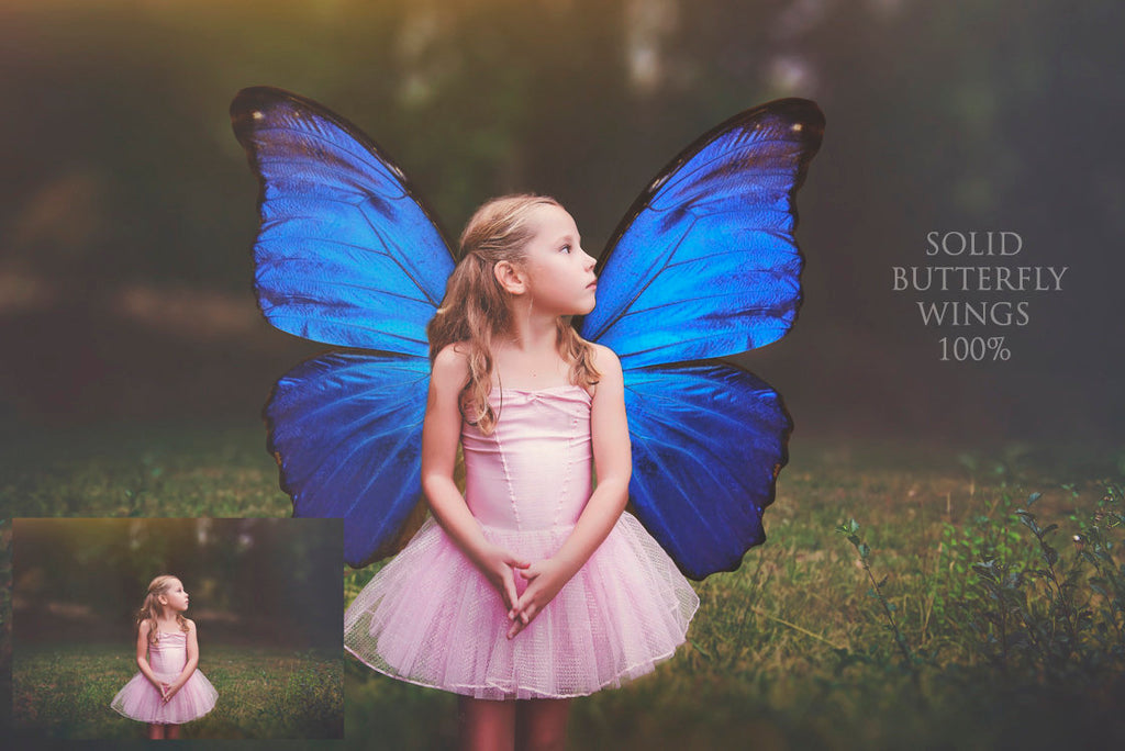 Butterfly fairy wings, Png overlays for photoshop. Photography editing. High resolution, 300dpi fairy wings. Overlays for photography. Digital stock and resources. Graphic design. Fairy Photos. Colourful Fairy wings. Faerie Wings.