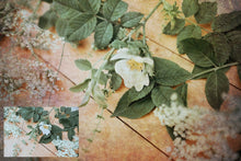 Load image into Gallery viewer, 10 Fine Art TEXTURES - SUMMER Set 4
