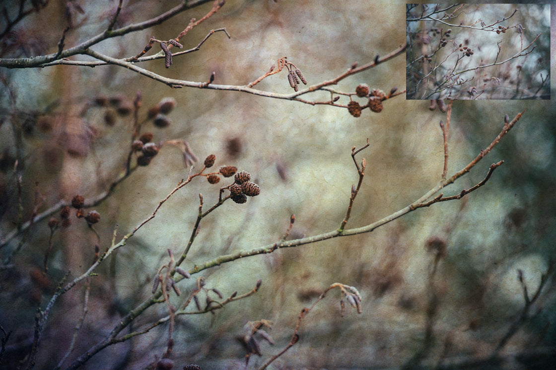 Sweet Textures. Fine art texture for photographers, digital editing. Photo Overlays. Antique, Vintage, Grunge, Light, Aged Bundle. Textured printable Canvas, Colour, black and white, Bundle. High resolution, 300dpi Graphic Assets for photography, digital scrapbooking and design. By ATP Textures