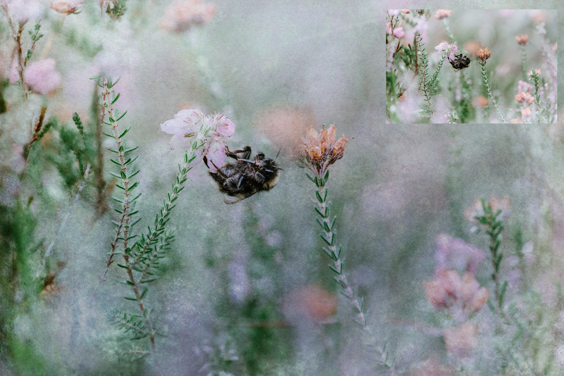 Sweet Textures. Fine art texture for photographers, digital editing. Photo Overlays. Antique, Vintage, Grunge, Light, Aged Bundle. Textured printable Canvas, Colour, black and white, Bundle. High resolution, 300dpi Graphic Assets for photography, digital scrapbooking and design. By ATP Textures