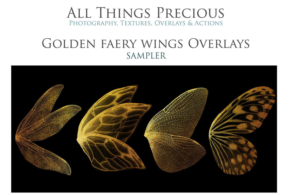 Digital Faery Wing Overlays! Fairy wings, Png overlays for photoshop. Photography editing. High resolution, 300dpi fairy wings. Overlays for photography. Digital stock and resources. Graphic design. Fairy Photos. Colourful Fairy wings. Faerie Wings.