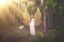 Load image into Gallery viewer, Digital Faery Wing Overlays! Fairy wings, Png overlays for photoshop. Photography editing. High resolution, 300dpi fairy wings. Overlays for photography. Digital stock and resources. Graphic design. Fairy Photos. Colourful Fairy wings. Faerie Wings.
