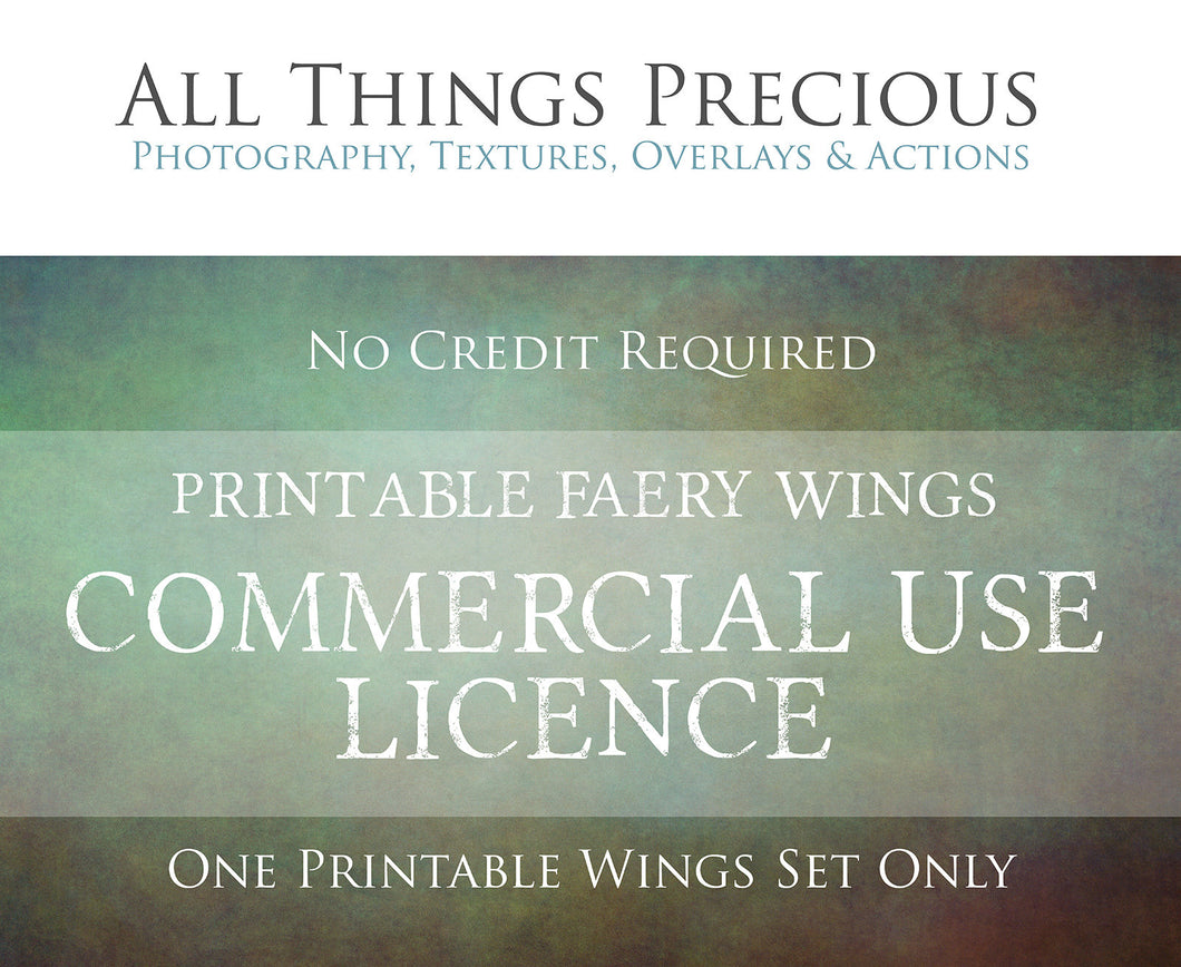 Print Fairy Wings COMMERCIAL LICENCE