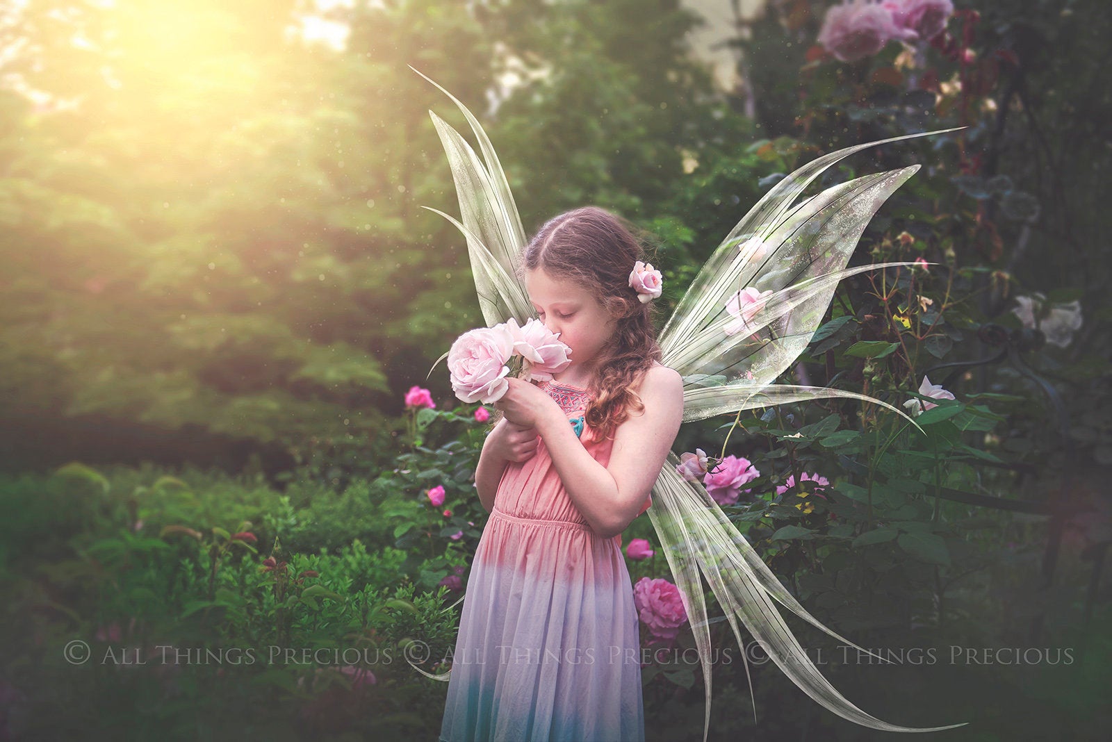 Digital Faery Wing Overlays! Fairy wings, Png overlays for photoshop. Photography editing. High resolution, 300dpi fairy wings. Overlays for photography. Digital stock and resources. Graphic design. Fairy Photos. Colourful Fairy wings. Faerie Wings.
