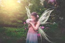 Load image into Gallery viewer, Digital Faery Wing Overlays! Fairy wings, Png overlays for photoshop. Photography editing. High resolution, 300dpi fairy wings. Overlays for photography. Digital stock and resources. Graphic design. Fairy Photos. Colourful Fairy wings. Faerie Wings.
