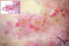 Load image into Gallery viewer, 10 Fine Art TEXTURES - BERRIES &amp; CREAM Set 5
