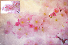 Load image into Gallery viewer, 10 Fine Art TEXTURES - LIGHT Set 11
