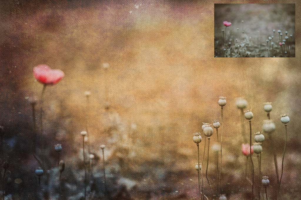 Mixed bundle textures. Fine art texture for photographers, digital editing. Photo Overlays. Antique, Vintage, Grunge, Light, Dark Bundle. Textured printable Canvas, Colour, Monochrome, Bundle. High resolution, 300dpi Graphic Assets for photography, digital scrapbooking and design. By ATP Textures