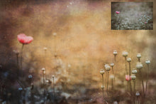 Load image into Gallery viewer, 10 Fine Art TEXTURES - MIXED Set 4
