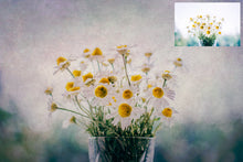 Load image into Gallery viewer, 10 Fine Art TEXTURES - PINK Set 7
