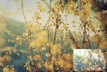 Load image into Gallery viewer, 10 Fine Art TEXTURES - CANVAS Set 8
