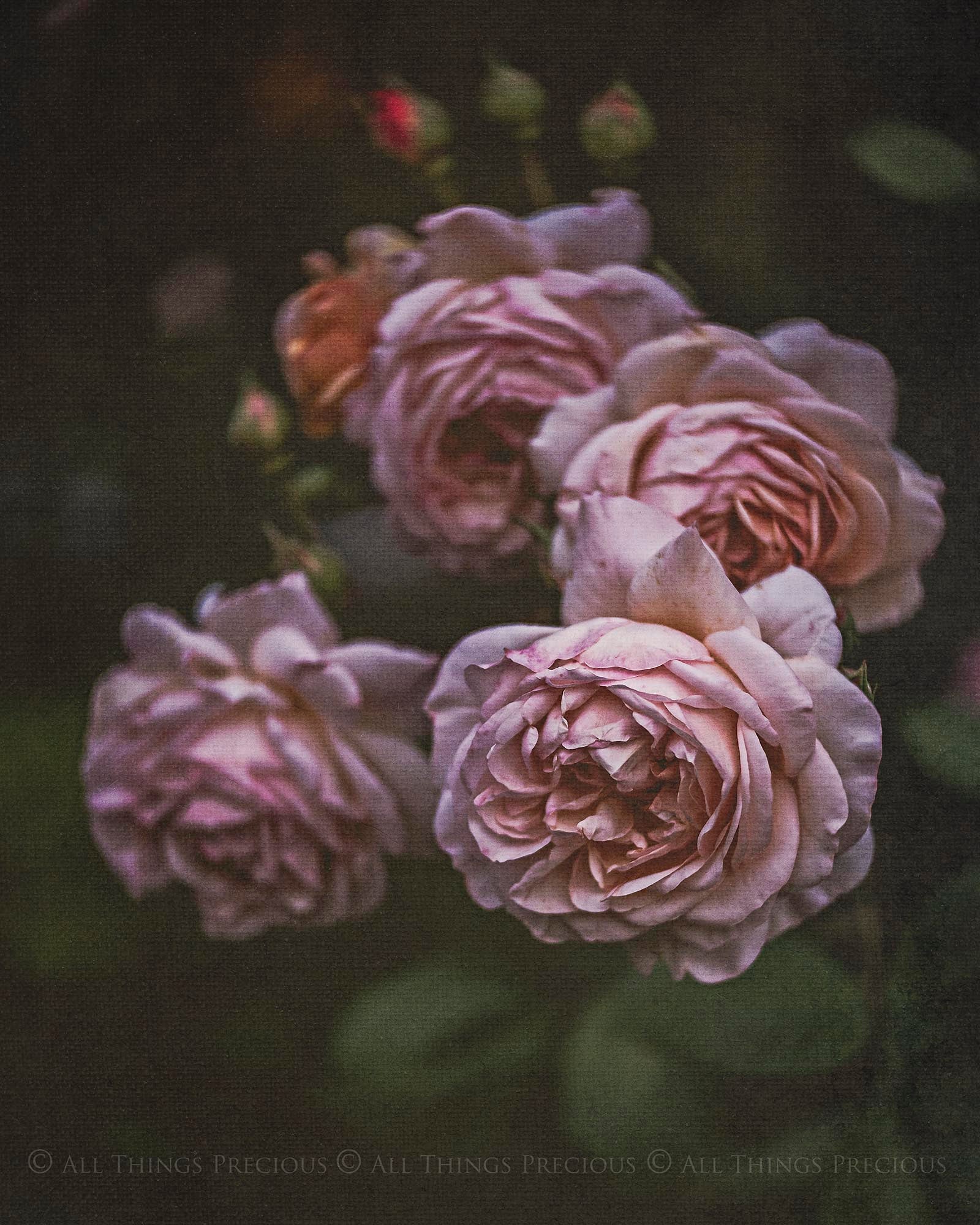 Fine Art Textures for photographers and digital editing. Photo Overlays. Antique, Vintage, Grunge, Light, Dark Variety Bundle.  Textured printable Canvas, Colour, Monochrome, Bundle. High resolution, 300dpi Graphic Assets for photography, digital scrapbooking and design. By ATP Textures