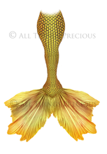 Load image into Gallery viewer, MERMAID TAILS Set 10 - Digital Overlays
