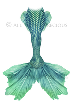 Load image into Gallery viewer, MERMAID TAILS Set 10 - Digital Overlays
