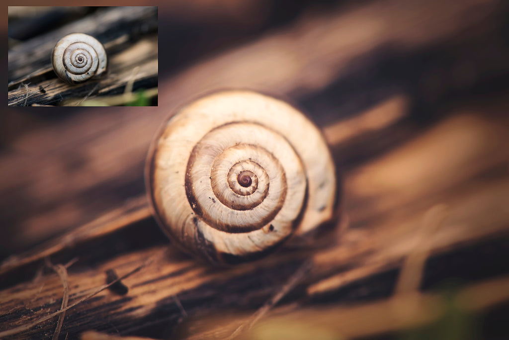 ATP Textures