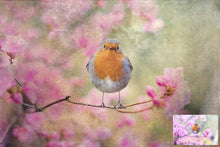 Load image into Gallery viewer, 10 Fine Art TEXTURES - CREAMY Set 12

