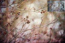 Load image into Gallery viewer, TEXTURE BUNDLE / No. 57
