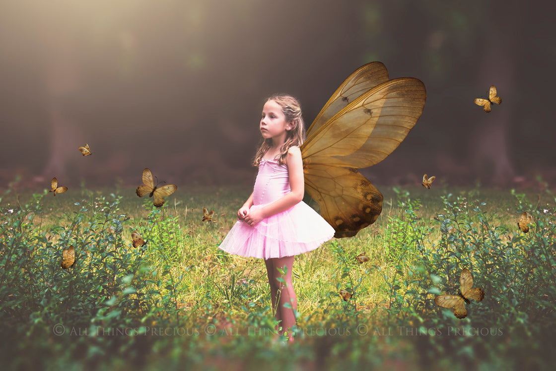 Fairy Wing & Butterfly Overlays For Photographers, Photoshop, Digital art and Creatives. Butterfly fairy wings, Png overlays for photoshop. Photography editing. High resolution, 300dpi. Overlay for photography. Digital stock and resources. Graphic design. Wings for Photos. Colourful Faerie Wings. Butterflies. Overlays for Edits.