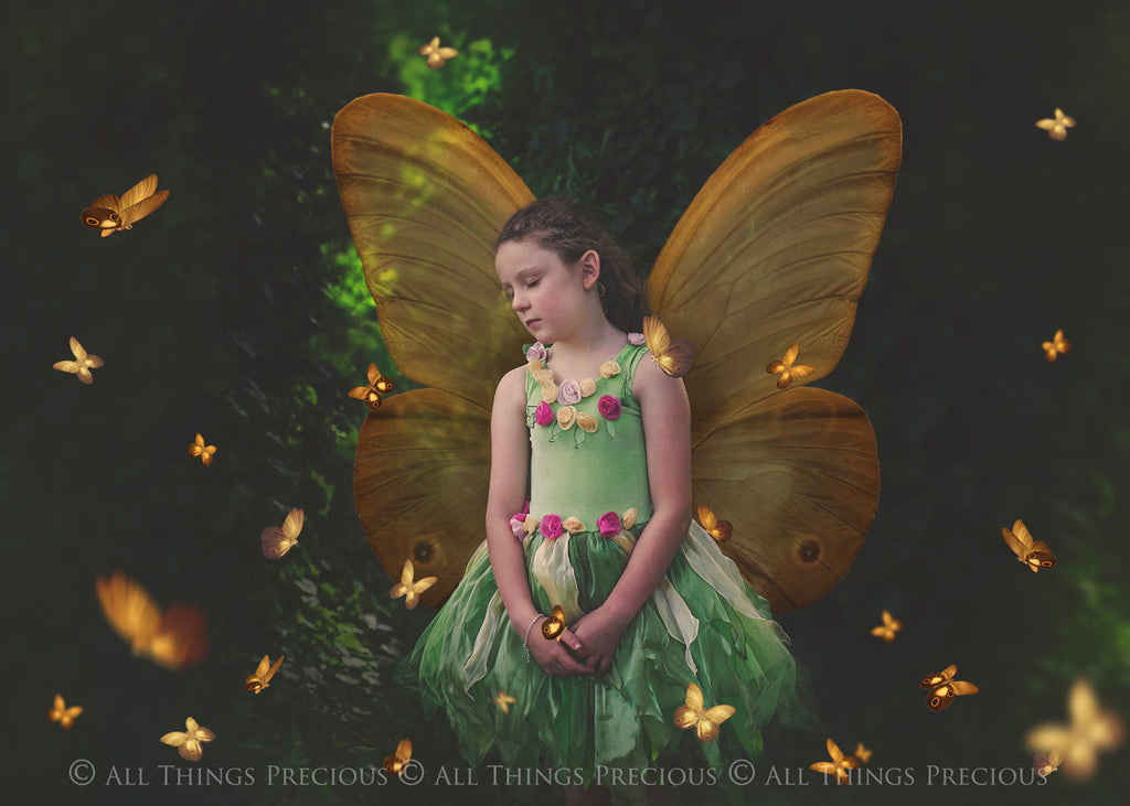 Fairy Wing & Butterfly Overlays For Photographers, Photoshop, Digital art and Creatives. Butterfly fairy wings, Png overlays for photoshop. Photography editing. High resolution, 300dpi. Overlay for photography. Digital stock and resources. Graphic design. Wings for Photos. Colourful Faerie Wings. Butterflies. Overlays for Edits.