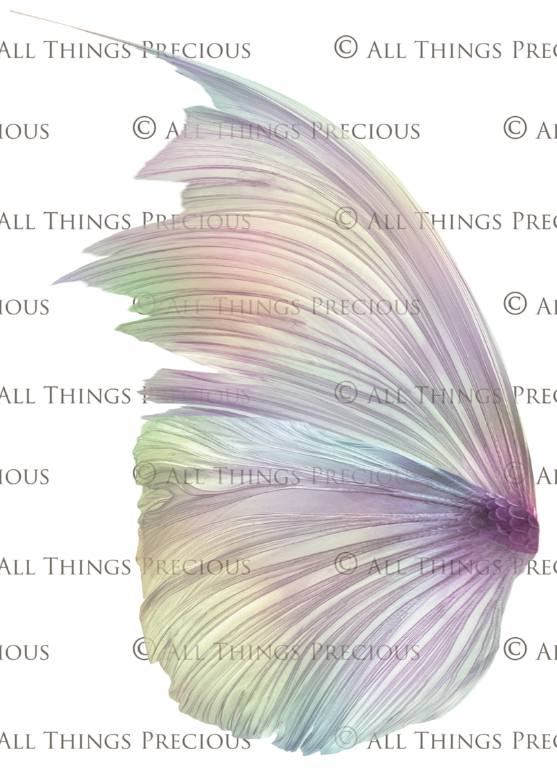 Png transparent Fairy Wing Overlays For Photographers, Photoshop, Digital art and Creatives. Transparent, high resolution, faery wings for photography! These are gorgeous PNG overlays for fantasy digital art and Child portraiture. These are white fairy wings. Graphic digital assets for design. Atp Textures