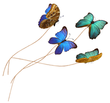 Load image into Gallery viewer, Png overlays for photography, Digital scrapbooking. PNG Butterfly Overlays, butterfly clipart, high resolution overlay, fine art photo overlay by ATP textures.
