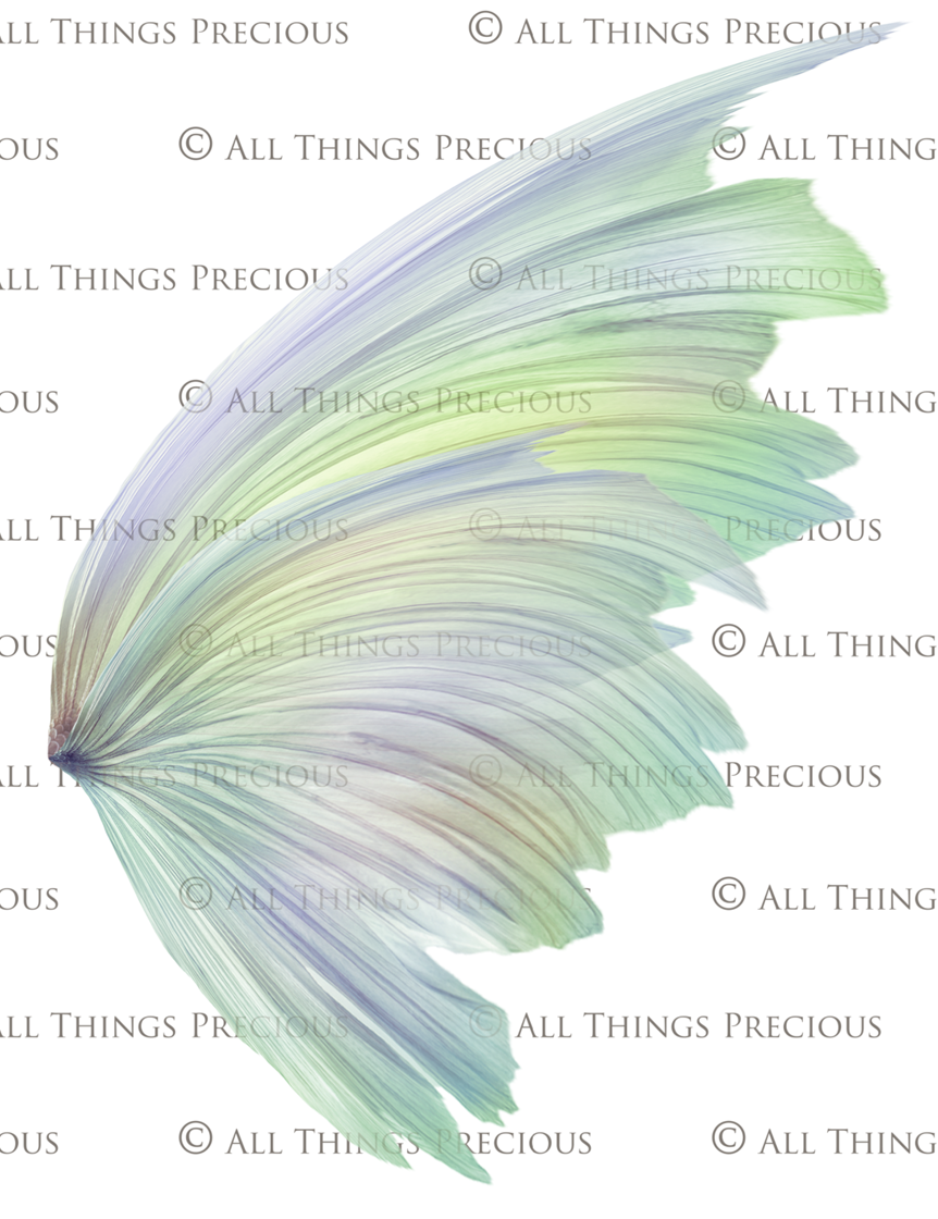 Png transparent Fairy Wing Overlays For Photographers, Photoshop, Digital art and Creatives. Transparent, high resolution, faery wings for photography! These are gorgeous PNG overlays for fantasy digital art and Child portraiture. These are white fairy wings. Graphic digital assets for design. Atp Textures