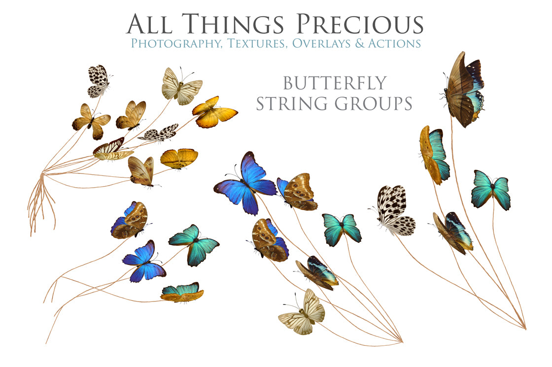 Png overlays for photography, Digital scrapbooking. PNG Butterfly Overlays, butterfly clipart, high resolution overlay, fine art photo overlay by ATP textures.
