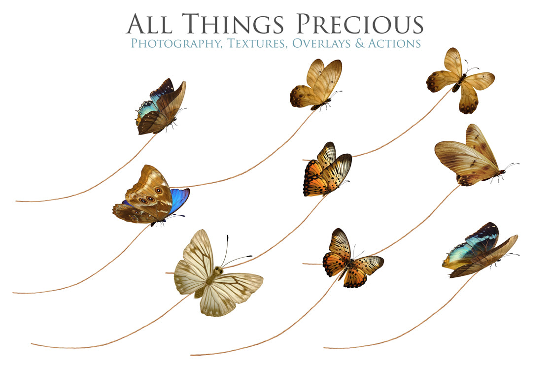 Png overlays for photography, Digital scrapbooking. PNG Butterfly Overlays, butterfly clipart, high resolution overlay, fine art photo overlay by ATP textures.