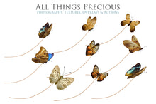 Load image into Gallery viewer, BUNDLE - 82 BUTTERFLY FAIRY WING OVERLAYS - Set 7
