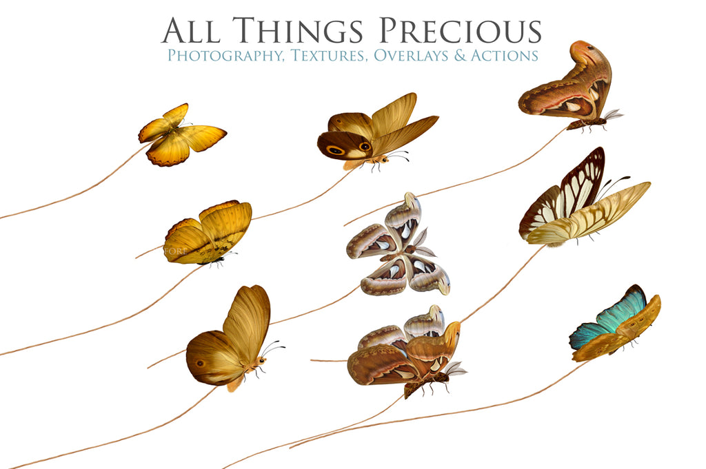 ATP Textures