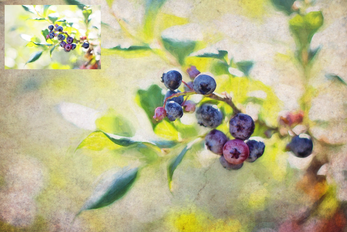 Rich warm and Creamy tinted textures. Fine Art Texture for photographers and digital editing. Photo Overlays. Antique, Vintage, Grunge, Light, Dark Bundle. Textured printable Canvas, Colour, Monochrome, Bundle. High resolution, 300dpi Graphic Assets for photography, digital scrapbooking and design. By ATP Textures