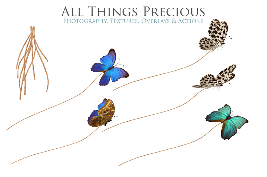 ATP Textures