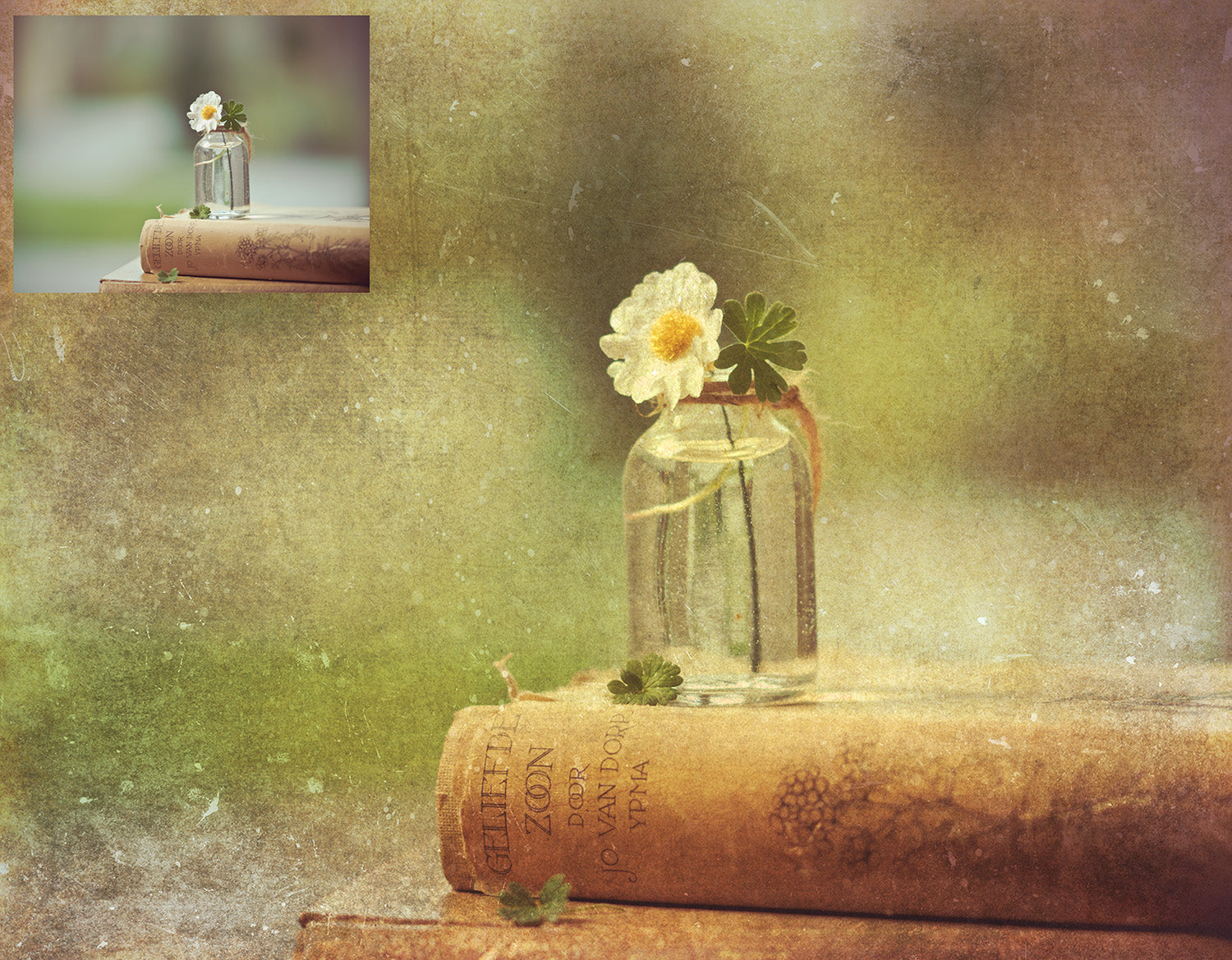 Rich warm and Creamy tinted textures. Fine Art Texture for photographers and digital editing. Photo Overlays. Antique, Vintage, Grunge, Light, Dark Bundle. Textured printable Canvas, Colour, Monochrome, Bundle. High resolution, 300dpi Graphic Assets for photography, digital scrapbooking and design. By ATP Textures