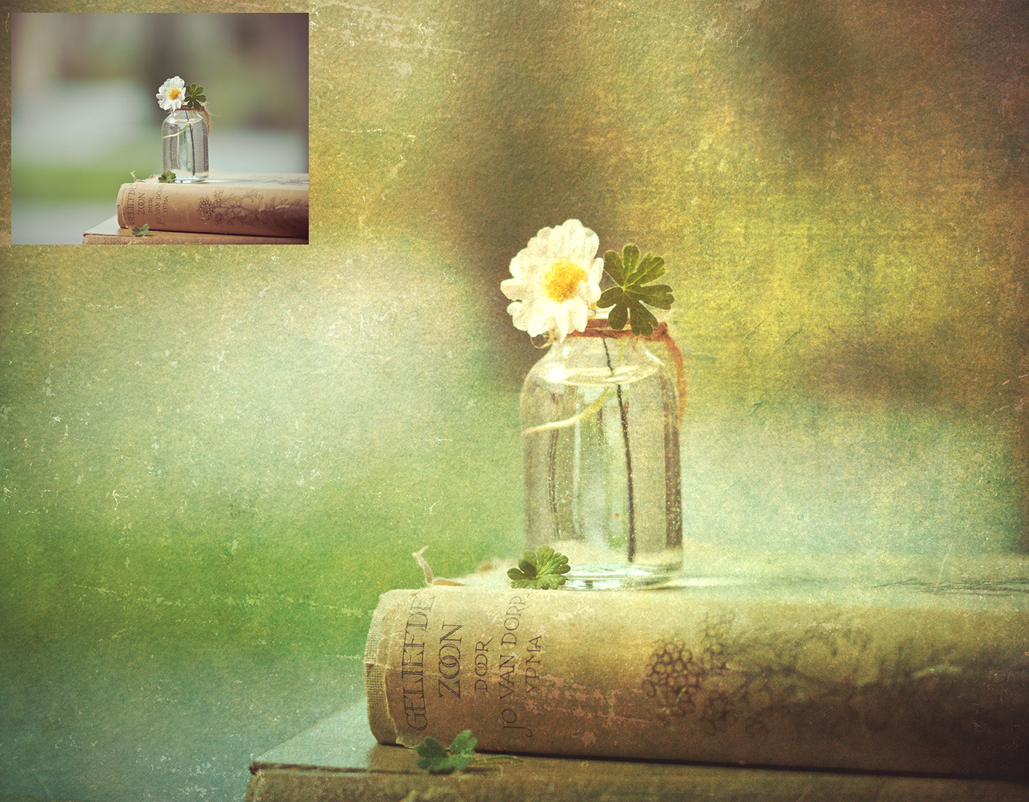 Vibrant Green textures. Fine art textures. Rich, Nature colour tints. Texture for photographers and digital editing. Photo Overlays. Antique, Vintage, Grunge, Light, Dark Bundle. Textured printable Canvas, Colour, Monochrome, Bundle. High resolution, 300dpi Graphic Assets for photography, digital scrapbooking and design. By ATP Textures