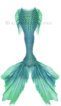 Load image into Gallery viewer, MERMAID TAILS Set 8 - Digital Overlays
