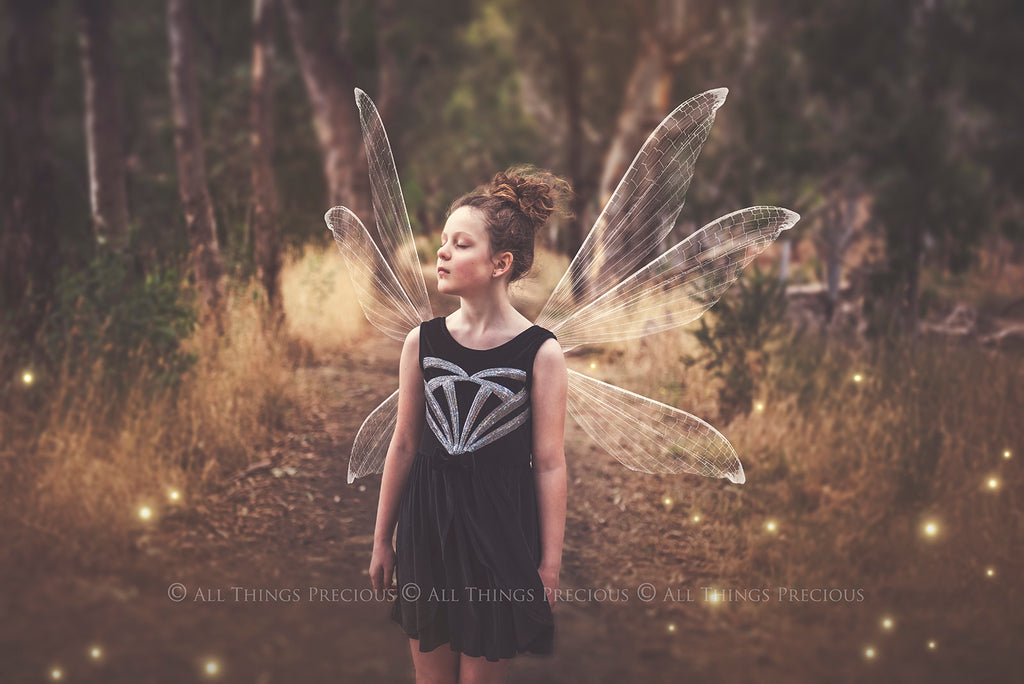 Digital Faery Wing Overlays! Fairy wings, Png overlays for photoshop. Photography editing. High resolution, 300dpi fairy wings. Overlays for photography. Digital stock and resources. Graphic design. Fairy Photos. Colourful Fairy wings. Faerie Wings.