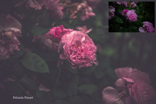 Load image into Gallery viewer, WOODLAND Lightroom Presets - For DESKTOP

