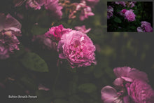 Load image into Gallery viewer, WOODLAND Set 1 Lightroom Presets - For Mobile and Desktop
