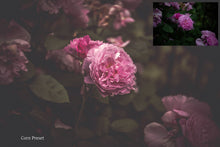 Load image into Gallery viewer, WOODLAND Set 2 Lightroom Presets - For Mobile and Desktop
