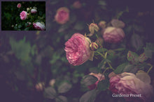Load image into Gallery viewer, WOODLAND Set 2 Lightroom Presets - For Mobile and Desktop
