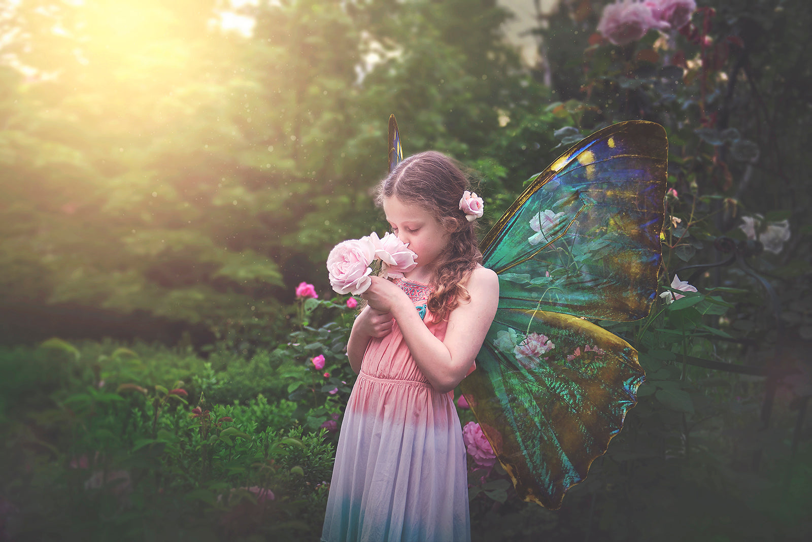 Butterfly fairy wings, Png overlays for photoshop. Photography editing. High resolution, 300dpi. Overlay for photography. Digital stock and resources. Graphic design. Wings for Photos. Colourful Faerie Wings.