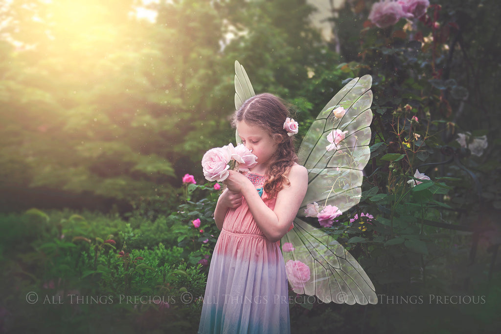 Digital Faery Wing Overlays! Fairy wings, Png overlays for photoshop. Photography editing. High resolution, 300dpi fairy wings. Overlays for photography. Digital stock and resources. Graphic design. Fairy Photos. Colourful Fairy wings. Faerie Wings.